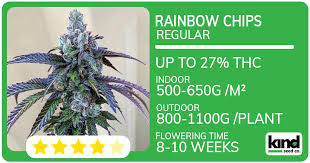 Cannabis Seeds Vermont A Comprehensive Guide to Growing and Cultivating