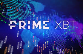 PrimeXBT vs Pocket Option A Comprehensive Comparison for Traders